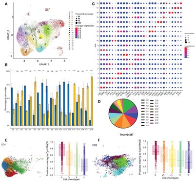 The immune-metabolic crosstalk between CD3+C1q+TAM and CD8+T cells associated with relapse-free survival in HCC